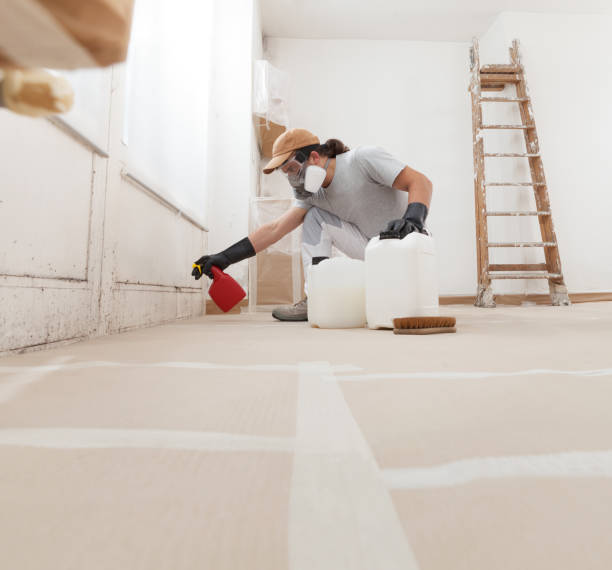 Best Forensic Mold Investigation  in Los Altos, CA