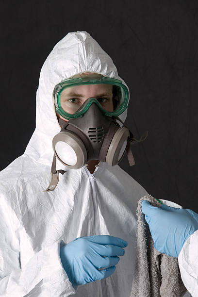 Best Water Damage & Mold Remediation  in Los Altos, CA